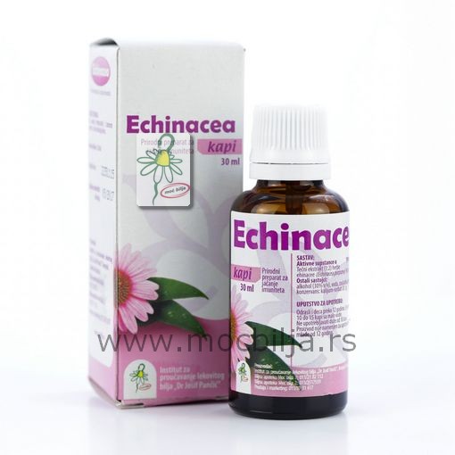 ECHINACEA kapi