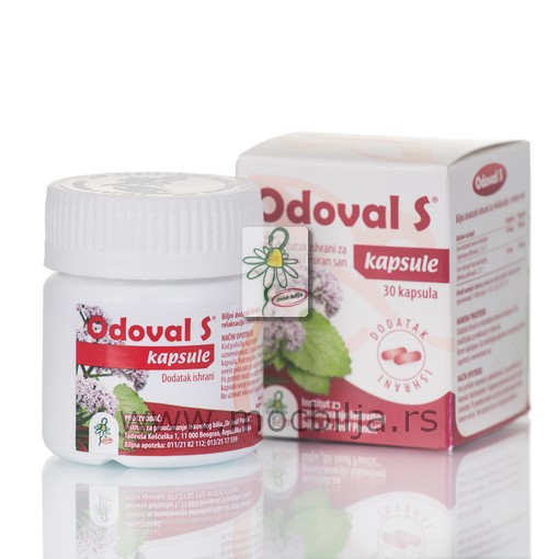 ODOVAL S® – kapsule na bazi matičnjaka i valerijane | Institut  “Dr Josif Pančić”
