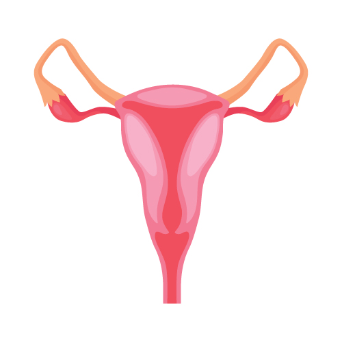 Reproduktivni sistemi